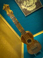 Baixar Aulas De Ukulele APK