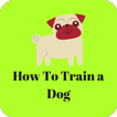 How to Train a Dog