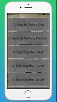 How to Train a Dog Poster