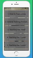 How to Train a Dog poster