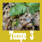 Aneka Resep Masakan Tempe 3 آئیکن