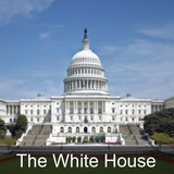 White House icône