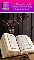 Quran Pickthall Free تصوير الشاشة 1