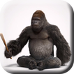 Home Monkey 3D Live Wallpaper