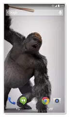 Home Monkey 3D Live Wallpaper APK download