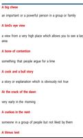 Homophones and Idioms screenshot 2