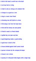 Homophones and Idioms screenshot 3