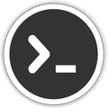 Terminal ELM327 Bluetooth WiFi