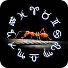 Ant Horoscope Theme icono