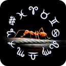 Ant Horoscope Theme APK