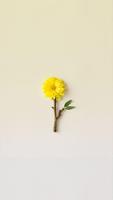 Minimalist Flower Theme imagem de tela 1