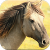 Horse Puzzles Free APK