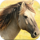 Horse Puzzles Free APK