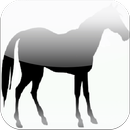 Horse Weight Calculator aplikacja