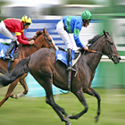 Horse Racing Zeichen