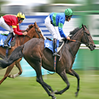 Horse Racing 아이콘