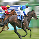 APK Horse Racing