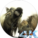 Horses Licks Screen LWP APK