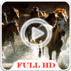 Horses Video HD Wallpaper APK