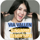 Via Vallen Ringtone Remix Mp3 APK
