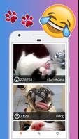 Funny Videos Funny Pics Funny Images Funny App capture d'écran 2
