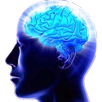 Activate your memory APK