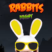 Rabbits herror night