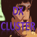 dxCluster APK