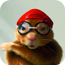 Hamster Athlete Live Wallpaper-APK