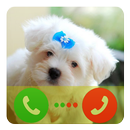 Dog Fake Call APK
