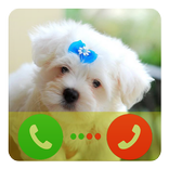 Dog Fake Call
