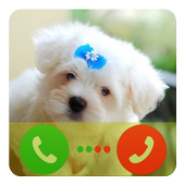 Dog Fake Call icon
