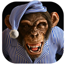 Angry Monkey 3D Live Wallpaper APK