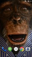 Angry Monkey 3D Live Wallpaper Affiche