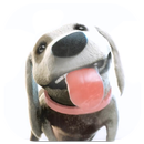 Puppy Licks Screen Animation APK