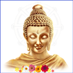 Multi Inspirational Quotes icon