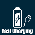 Fast Charging