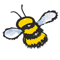 Haskins Buzzy Bee