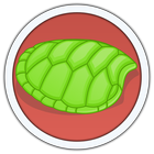 Turtle icône