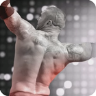 Tips WWE 2K16 Wrestling Rev 3D-icoon