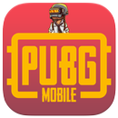 Flash player for pubg graphics + plugin simulator APK