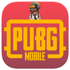 Flash player for pubg graphics + plugin simulator icône