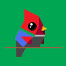 Bird Mod PE-APK