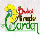 Dubai Miracle Garden ไอคอน