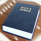 Superbook Bible, Audio & Text آئیکن
