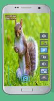 HD Camera 2017 screenshot 7