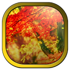 Autumn Forest 3D Wallpapers 圖標