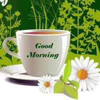 Good Morning Wishes WallPapers 2018 포스터