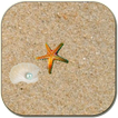 Ocean floor