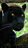 Black Panther capture d'écran 2